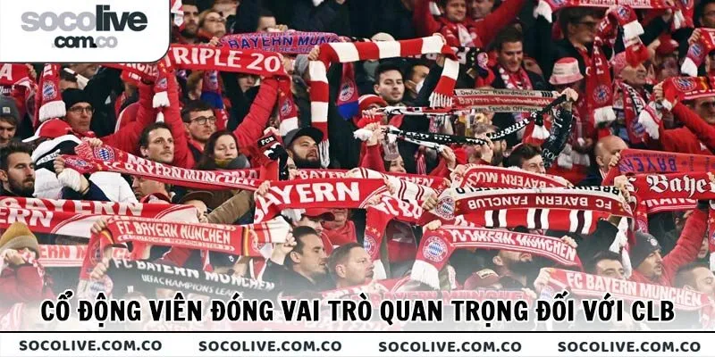 Cổ động viên đóng vai trò cực kỳ quan trọng trong việc vận hành CLB
