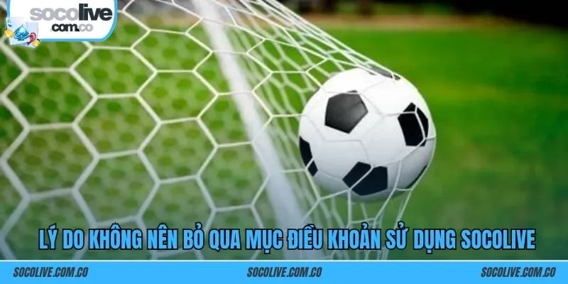 Lý do không nên bỏ qua mục Điều khoản sử dụng SOCOLIVE