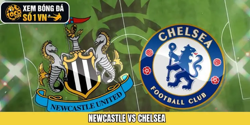 Soi Kèo Newcastle vs Chelsea 20/12 Cùng Chuyên Gia Socolive