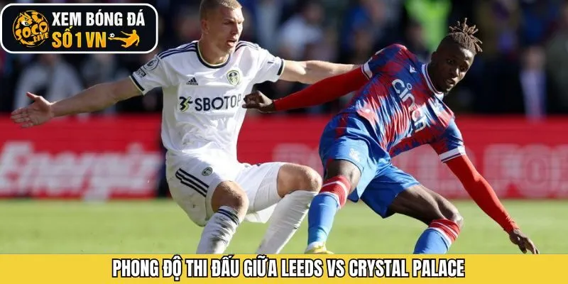 Khám phá phong độ thi đấu gần đây giữa Leeds vs Crystal Palace