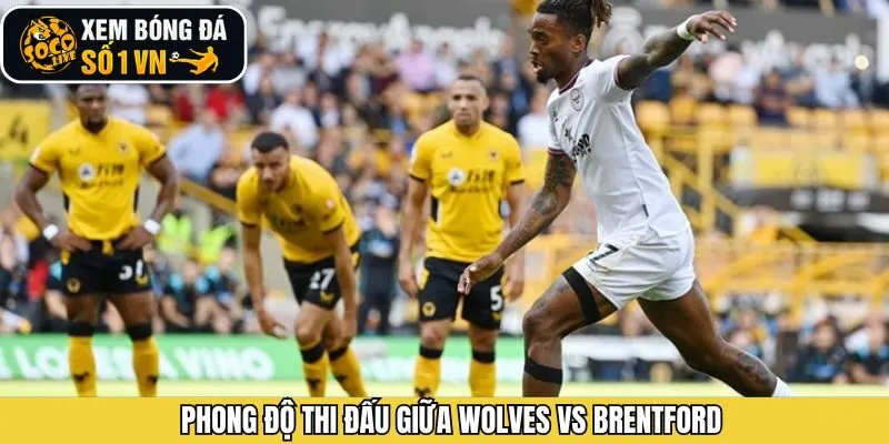 Phong độ của Wolves vs Brentford trước trận đấu ngày 20/12